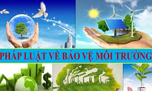 TP.HCM: Tiếp tục thực hiện Chương trình hành động theo Nghị Quyết 24-NQ/TW về chủ động ứng phó với biến đổi khí hậu, tăng cường quản lý tài nguyên và bảo vệ môi trường