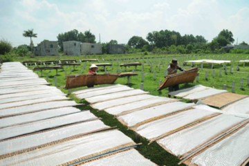 TP. Hồ Chí Minh: hỗ trợ phát triển làng nghề, ngành nghề nông thôn giai đoạn 2022 – 2025