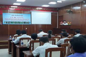 TTKN TP.HCM: Cấp 20 chứng chỉ đào tạo nghề cho học viên  lớp “Canh tác rau công nghệ cao về rau ăn quả (dưa leo)”