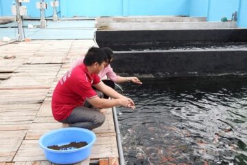 Ngành cá cảnh cần sự tham gia của các nhà khoa học
