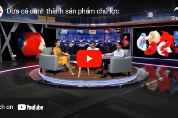 Đưa cá cảnh thành sản phẩm chủ lực