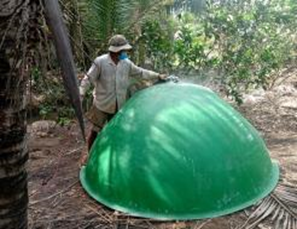Tiềm năng áp dụng kinh tế tuần hoàn, kinh tế xanh vì mục tiêu phát triển bền vững cho khu vực nông thôn Thành phố Hồ Chí Minh