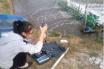Kết quả quan trắc, cảnh báo môi trường nước nuôi thủy sản nước lợ (Ngày thu mẫu 15/9/2022)