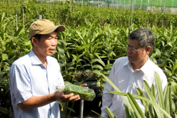 Bài 2: Hình thành các vùng trồng hoa lan trọng điểm
