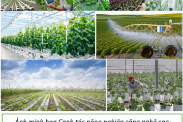 Các nhiệm vụ trọng tâm Bộ NN-PTNT sẽ tập trung triển khai nhằm thực hiện “Chiến lược phát triển khoa học, công nghệ và đổi mới sáng tạo ngành nông nghiệp và phát triển nông thôn đến năm 2030, tầm nhìn đến năm 2050”