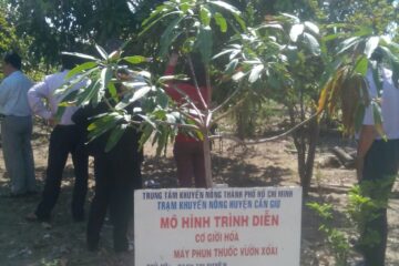 TP.HCM: triển khai “Chiến lược phát triển cơ giới hóa nông nghiệp  và công nghiệp chế biến nông lâm thủy sản đến năm 2030″