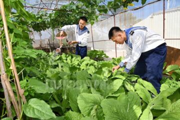 TP.HCM: Ngành nông nghiệp sẽ tích cực tham gia hỗ trợ và tuyên truyền thực hiện Chương trình “Vì Trường Sa xanh”