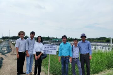 Trung tâm Khuyến nông TP. Hồ Chí Minh: tổ chức đánh giá kết quả thực hiện 02 Mô hình Nuôi tôm thẻ chân trắng theo quy trình GAP tại Cần Giờ