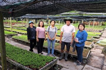 Trung tâm Khuyến nông: khảo sát hoa kiểng Tết năm 2024 tại  các tỉnh Bến Tre, Đồng Tháp và Lâm Đồng
