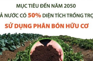 Bộ Nông nghiệp và PTNT phê duyệt Đề án phát triển sản xuất và sử dụng phân bón hữu cơ đến năm 2030, tầm nhìn đến 2050