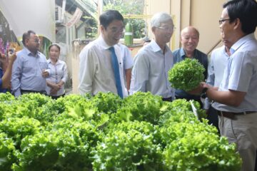 Sở Nông nghiệp và PTNT TP. Hồ Chí Minh: tổ chức Hội nghị Tổng kết ngành nông nghiệp và Phát triển nông thôn năm 2023 và triển khai kế hoạch năm 2024