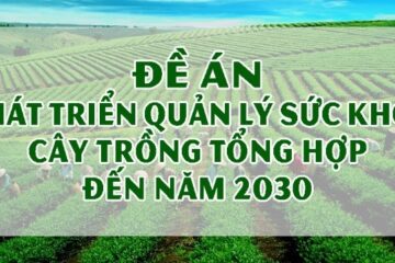 Bộ Nông nghiệp và Phát triển nông thôn: triển khai Đề án phát triển quản lý sức khỏe cây trồng tổng hợp (IPHM) đến năm 2030