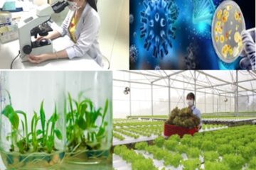 Thành phố Hồ Chí Minh: triển khai kế hoạch phát triển công nghiệp sinh học ngành nông nghiệp năm 2024