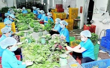 Sở Nông nghiệp và PTNT TP. Hồ Chí Minh: triển khai thực hiện kế hoạch phát triển kinh tế tập thể trong lĩnh vực nông nghiệp trên địa bàn Thành phố năm 2024.