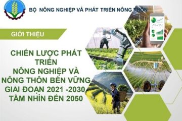 Bộ NN-PTNT: ban hành Quyết định phê duyệt Kế hoạch hành động thực hiện Chiến lược phát triển trồng trọt đến năm 2030, tầm nhìn đến năm 2050