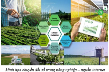 Bộ Nông nghiệp và Phát triển nông thôn ban hành Kế hoạch thực hiện chuyển đổi số năm 2024