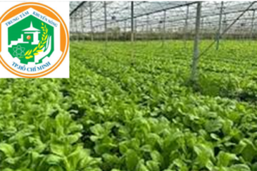 Ủy ban nhân dân Thành phố Hồ Chí Minh: ban hành Quyết định phê duyệt kế hoạch hoạt động khuyến nông năm 2024