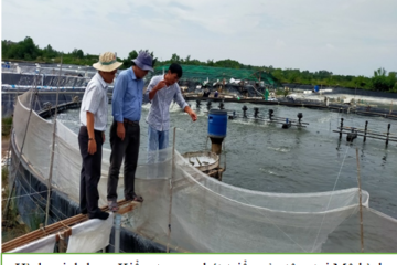 TP. Hồ Chí Minh: Kết quả quan trắc, cảnh báo môi trường nước nuôi trồng thủy sản