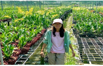 Nữ giám đốc ở quận 9 – Thành phố Hồ Chí Minh  đưa dòng lan khác biệt ra thị trường quốc tế