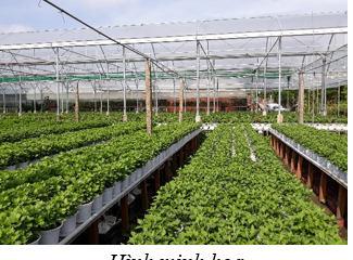 Thành phố Hồ Chí Minh ban hành kế hoạch thực hiện Chương trình phát triển du lịch nông thôn trong xây dựng nông thôn mới đến năm 2025