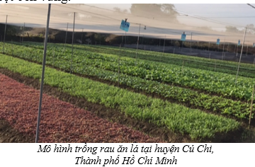 Bộ Nông nghiệp và Phát triển nông thôn ban hành chỉ thị về tăng cường công tác quản lý sức khỏe đất hướng tới sản xuất trồng trọt bền vững   