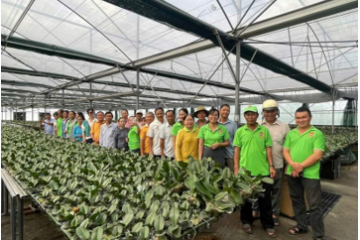 Đẩy mạnh mô hình Tổ khuyến nông cộng đồng ở TP.HCM