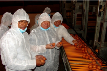 Khuyến nông ứng dụng công nghệ cao tạo bước đột phá trong chăn nuôi