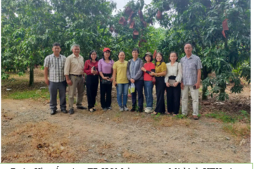 Khuyến nông TP.HCM: Tổ chức khảo sát học tập các mô hình sản xuất theo quy trình sản xuất an toàn; ứng dụng công nghệ cao; mô hình nông nghiệp theo hướng phát triển bền vững tại các tỉnh Đồng bằng sông Cửu Long