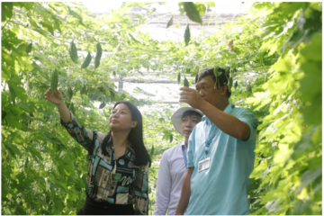 Khuyến nông TP.HCM nỗ lực phát triển nông nghiệp đô thị, hướng đến chuyển đổi số toàn diện