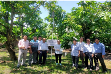 Điểm mới của định mức kinh tế kỹ thuật về khuyến nông  trên địa bàn TP.HCM