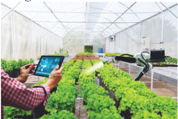 Phát triển nông nghiệp bền vững thông minh