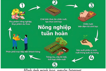 Thủ tướng Chính phủ phê duyệt Quyết định ban hành Kế hoạch hành động quốc gia thực hiện kinh tế tuần hoàn đến năm 2035