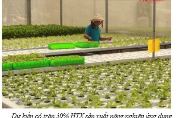 Nông nghiệp đô thị TP.HCM vươn mình từ sản xuất thông minh