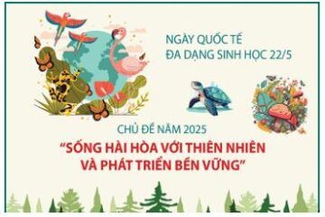  “Sống hài hòa với thiên nhiên và phát triển bền vững”  là chủ đề Ngày Quốc tế Đa dạng sinh học 2025
