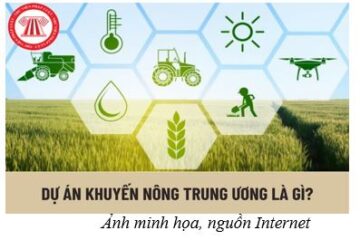 Bộ Nông nghiệp và Môi trường ban hành Danh mục dự án Khuyến nông Trung ương thực hiện từ năm 2026