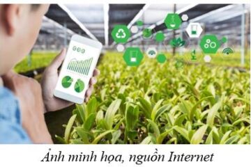 Chương trình phối hợp thực hiện nhiệm vụ trong lĩnh vực nông nghiệp và môi trường giai đoạn năm 2025 – 2030 theo tinh thần Nghị quyết 57-NQ/TW giữa Liên hiệp các Hội khoa học và kỹ thuật Việt Nam với Bộ Nông nghiệp và Môi trường