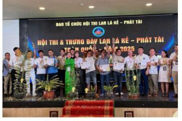 Nhiều nghệ nhân hoa lan Thành phố Hồ Chí Minh tham gia và đạt giải thưởng   tại Hội thi và Trưng bày Lan Lá Kẻ – Phát tài toàn quốc năm 2025