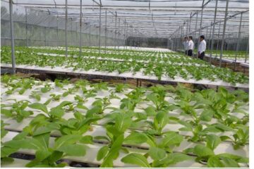 Sửa đổi, bổ sung chính sách tín dụng phục vụ phát triển nông nghiệp, nông thôn