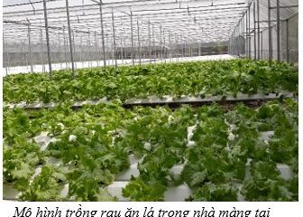 Kế hoạch Khuyến nông trên địa bàn Thành phố phố Hồ Chí Minh năm 2025