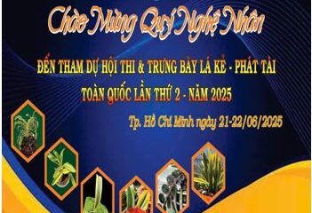 TP.HCM tổ chức Hội thi và Trưng bày Lan Lá Kẻ – Phát tài toàn quốc năm 2025