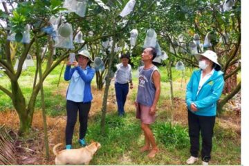 IPHM – Quản lý sức khỏe cây trồng tổng hợp   