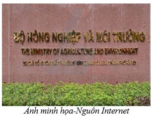 Quy định phân quyền, phân cấp trong lĩnh vực nông nghiệp và môi trường