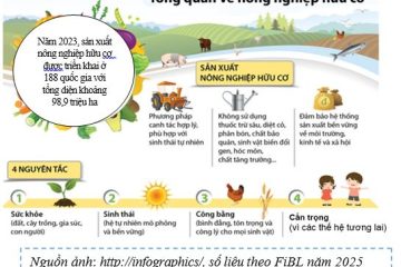 NÔNG NGHIỆP HỮU CƠ TRÊN ĐỊA BÀN TP. HỒ CHÍ MINH   