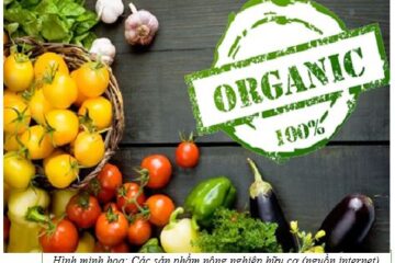 BỐN NGUYÊN TẮC CỦA NÔNG NGHIỆP HỮU CƠ