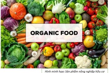 Phát triển sản xuất hữu cơ – những khó khăn, thách thức và các giải pháp