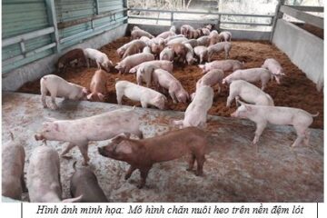 Phát triển kinh tế tuần hoàn trong nông nghiệp tại TP. Hồ Chí Minh