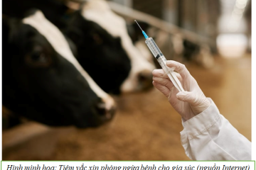 TRIỂN KHAI THÁNG TỔNG VỆ SINH, TIÊU ĐỘC MÔI TRƯỜNG VÀ KHẨN TRƯƠNG TIÊM PHÒNG VẮC XIN CHO ĐÀN VẬT NUÔI  ĐỢT 2 NĂM 2025