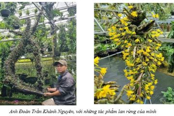 Trở thành nghệ nhân với niềm đam mê lan rừng – “nữ hoàng của thiên nhiên rừng rậm”