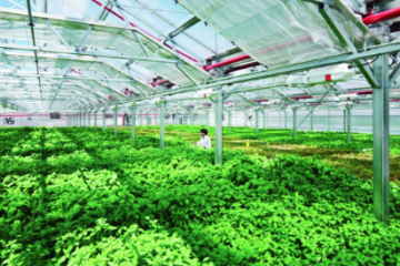 Thúc đẩy người dân, doanh nghiệp tích cực tham gia phát triển nông nghiệp và bảo vệ môi trường   