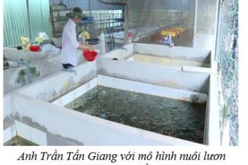Giao lưu, trao đổi học tập kinh nghiệm sản xuất các mô hình sinh vật cảnh tiêu biểu